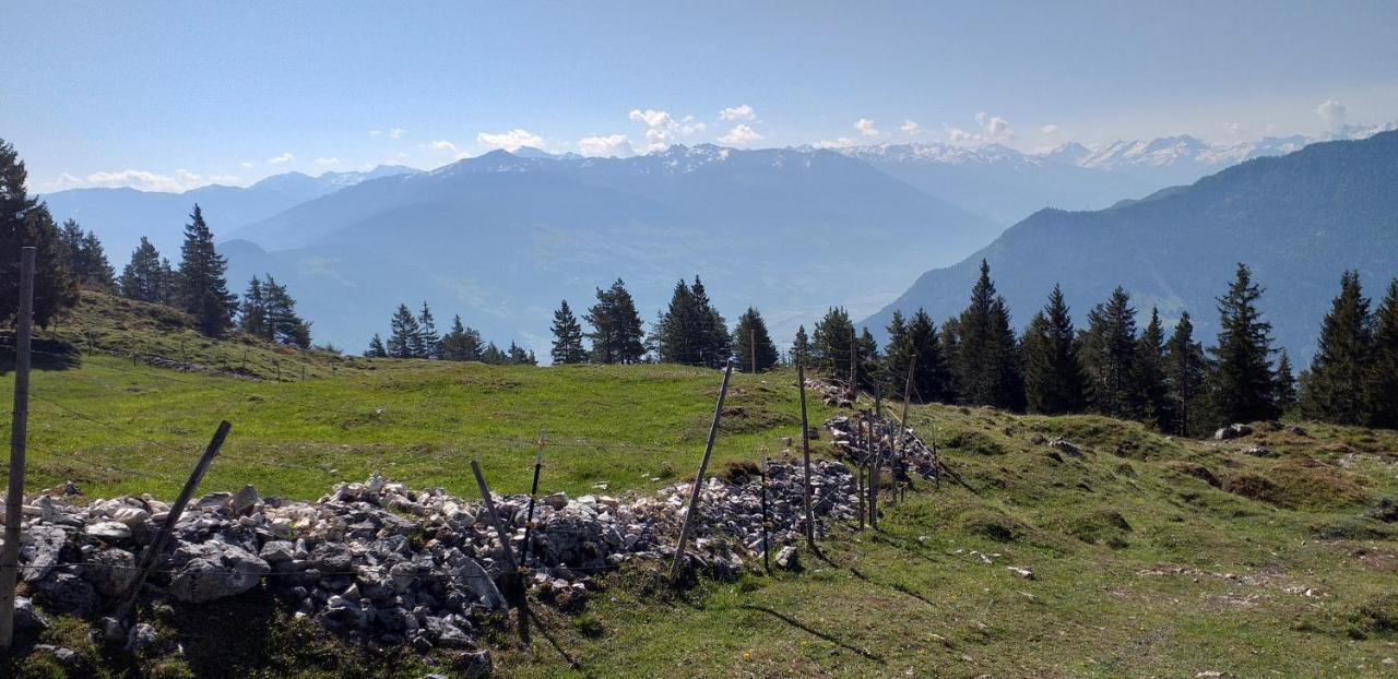 Ferienwohnungen Hochzillertal 卡顿巴赫 外观 照片