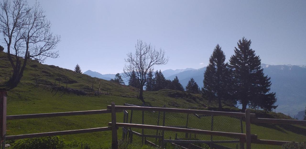 Ferienwohnungen Hochzillertal 卡顿巴赫 外观 照片
