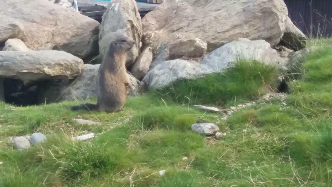 Ferienwohnungen Hochzillertal 卡顿巴赫 外观 照片
