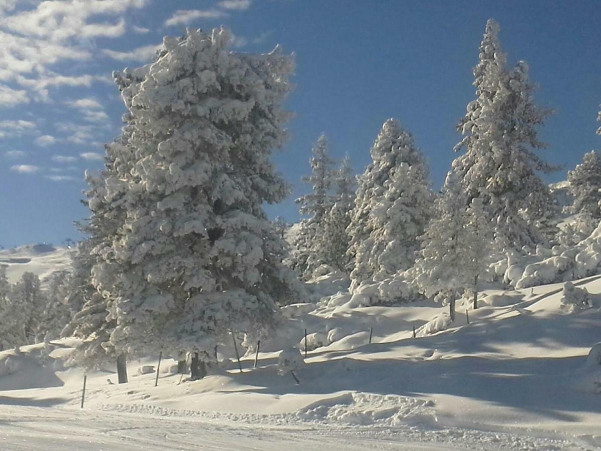 Ferienwohnungen Hochzillertal 卡顿巴赫 外观 照片